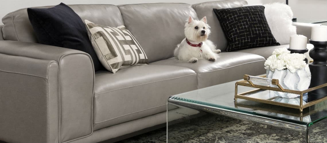  How to get dog hair off leather sofa with X rocker