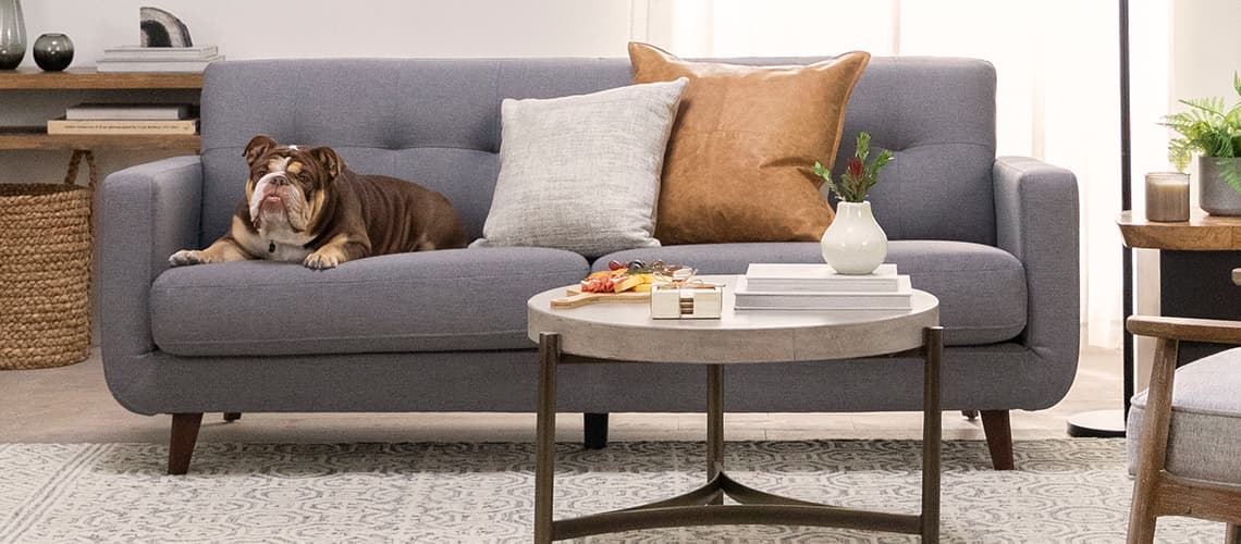 How To Clean Living Spaces Couch? 