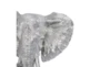 16 Inch Silver Elephant Head - Detail