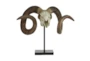Sheep Skull On Stand - Material