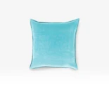 Aqua Throw Pillows
