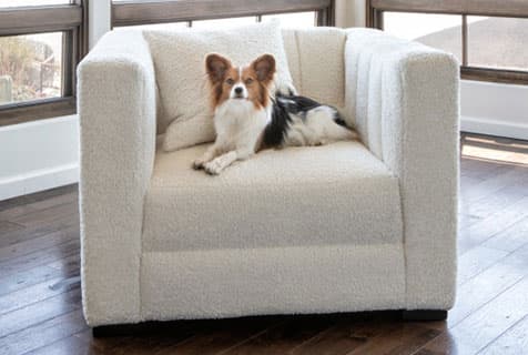 How To Clean Pet Hair Off Of Furniture Rugs And Floors Living