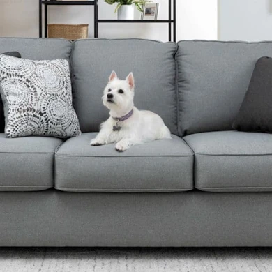 fabric sofa cleaner