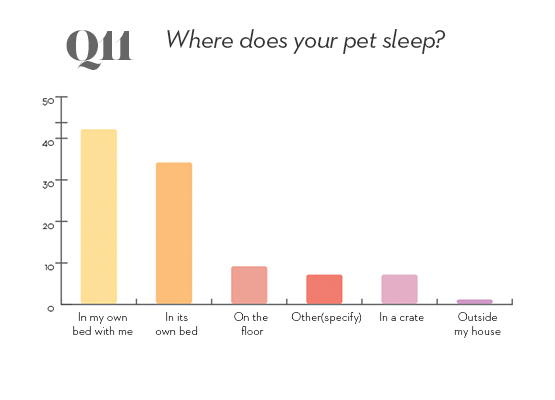 pets survey question 11