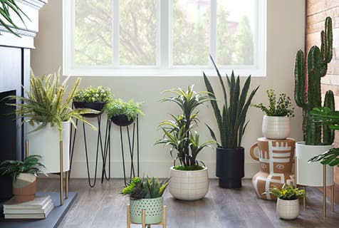 Creative Indoor Planter Ideas