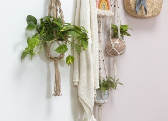 The Best Plants For Hanging Planters Living Spaces