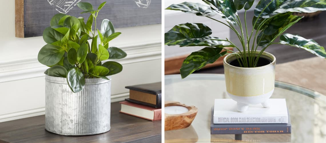 best pots for indoor plant
