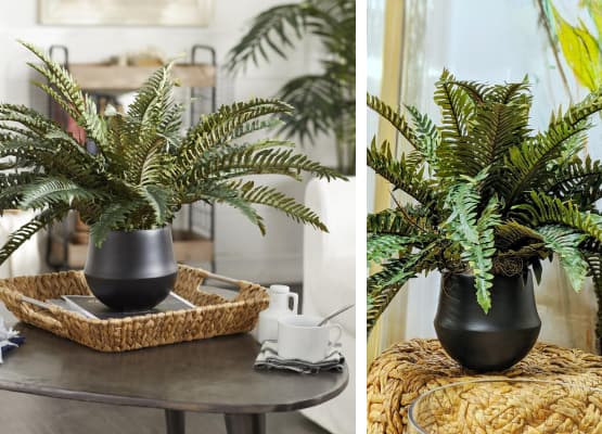 indoor plant stand ideas