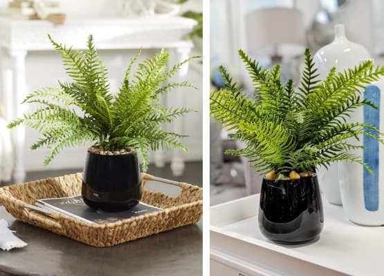 plant table ideas tips