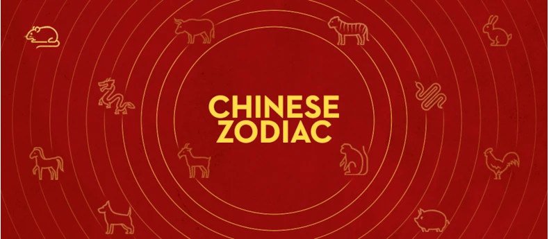 how to decorate according to your chinese zodiac hero