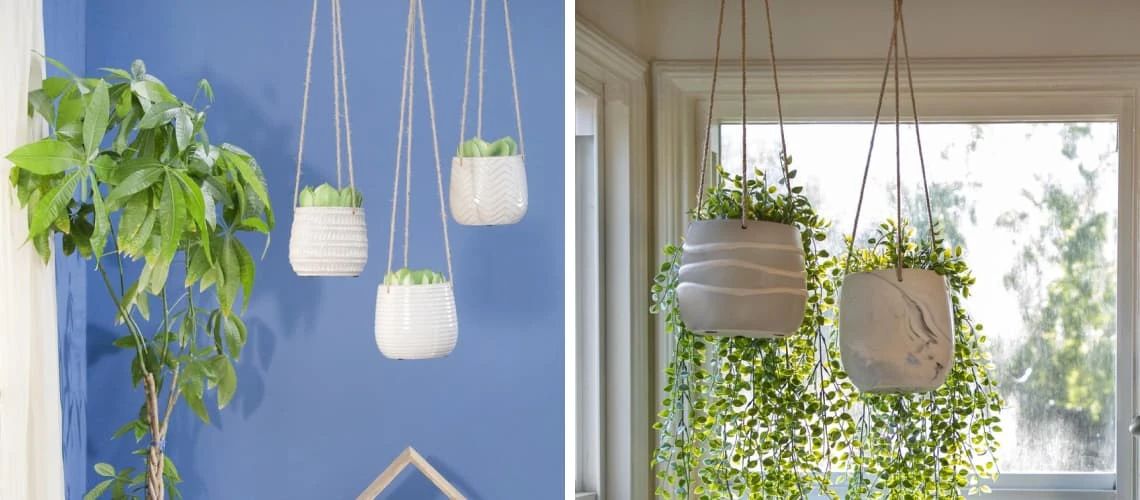 how to plant hanging baskets hero