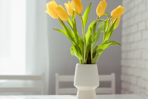 tulip arrangement tips