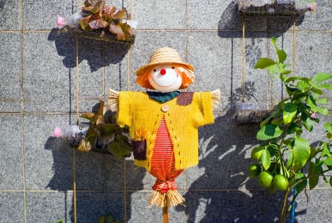 fall porch scarecrow