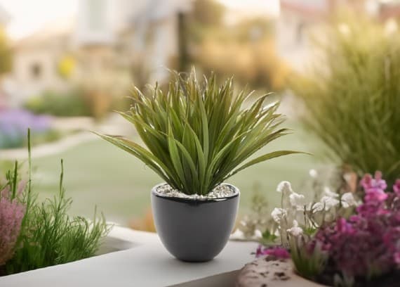easter front porch grass plant with green lawn