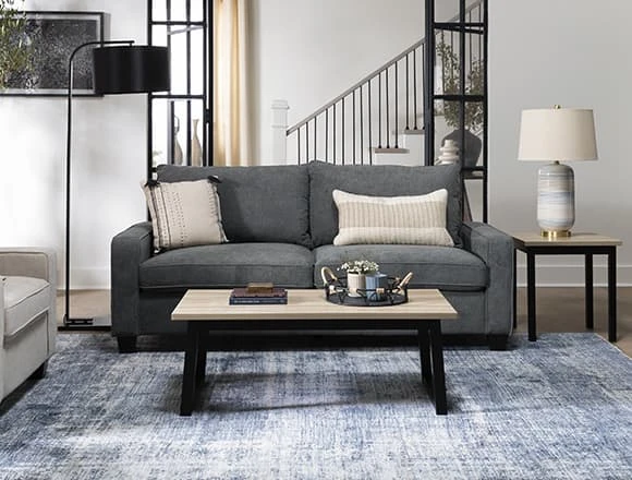 Modern Living Room With Reid Grey 80'' Sofa