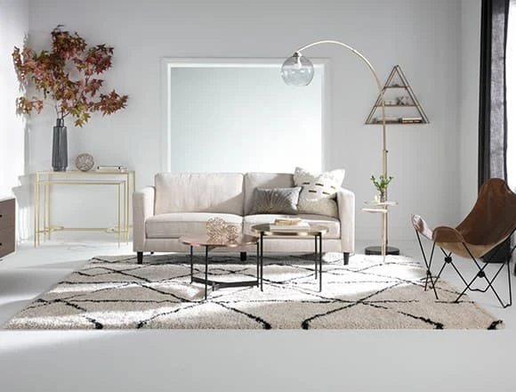 Modern Living Room with Cosmos Sofa