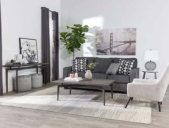 Modern Living Room with Turdur Sofa