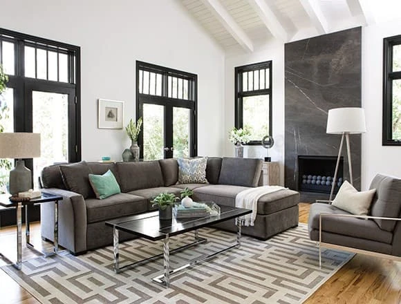 Transitional Living Room with Aspen Sofa