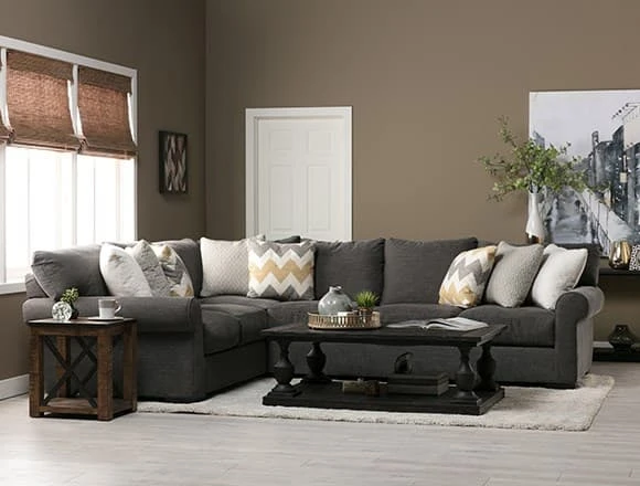 Transitional Living Room with Aurora Sofa