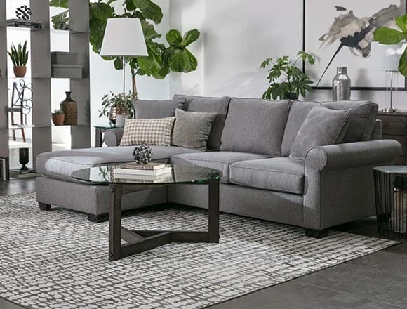 Transitional Living Room with Francis Sofa