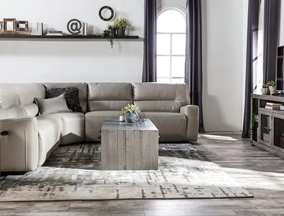 Transitional Living Room with Renaldo Sofa