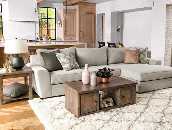Transitional Living Room with Delano 2 Piece Sectional