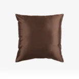 Brown Accent + Throw Pillows