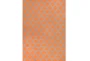 8'x11' Rug-Tron Tangerine/Grey - Signature