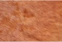 4'x6' Rug-Oscar Cowhide Medium Brown Small - Detail