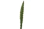 Garden-38 Inch Gymea Sword Leaf Spray - Signature