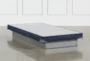 Revive Series Twin Low Profile Box Spring - Signature