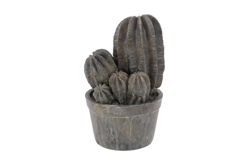 12 Inch Cactus In Pot - 360