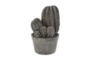 12 Inch Cactus In Pot - Signature