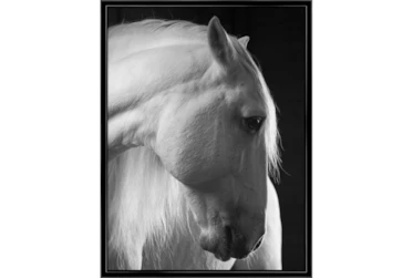 32X42 Timid White Stallion