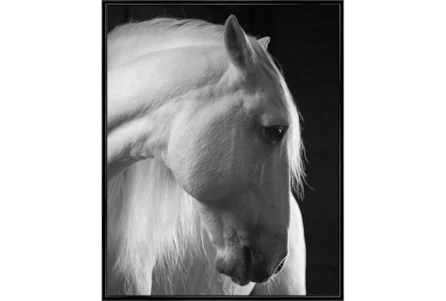 42X52 Timid White Stallion - Main