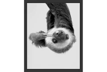 18X22 Hanging Sloth