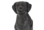 20 Inch Black Resin Sitting Dog Sculpture - Detail