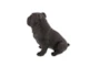 13 Inch Black Polystone Sitting Dog Decor - Front