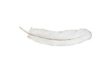 Extra Large White Feather With Gold Stem Wall Decor