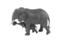 Dark Grey 13 Inch Polystone Mother Elephant - Signature