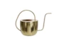 Cl Gold 11 Inch Flat Top Watering Can - Signature