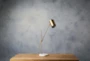 Table Lamp-Brass Brushed Metal - Room