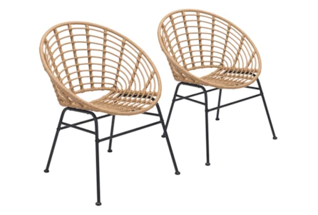 Shell Outdoor Natural Dining Chair Set Of 2