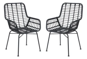 Mcgrath Black Outdoor Chair Set Of 2