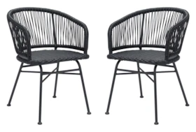 Mesa Outdoor Black Dining Chair Set Of 2