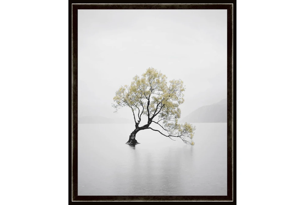 52X42 Tree In Lake