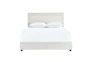 Queen Double Nail Trim Storage Bed-Fog - Signature