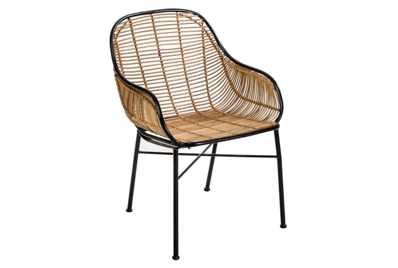 Wicker Lounge Chair - 360