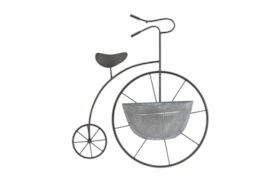 Metal Tricycle Wall Planter