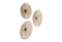 Brown Seagrass Wall Art-Set Of 3 - Material